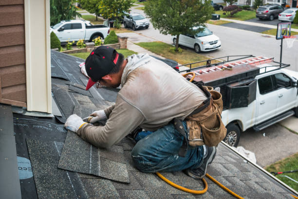 Professional Roof Inspection technician working in De Soto, IL